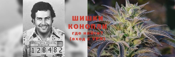 гидра Балахна