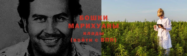 spice Балабаново