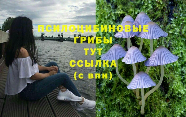 spice Балабаново