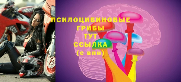 spice Балабаново