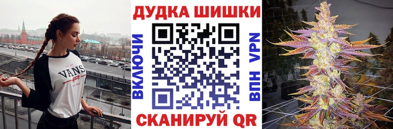 Бошки Шишки план  Купить закладки  Иркутск 